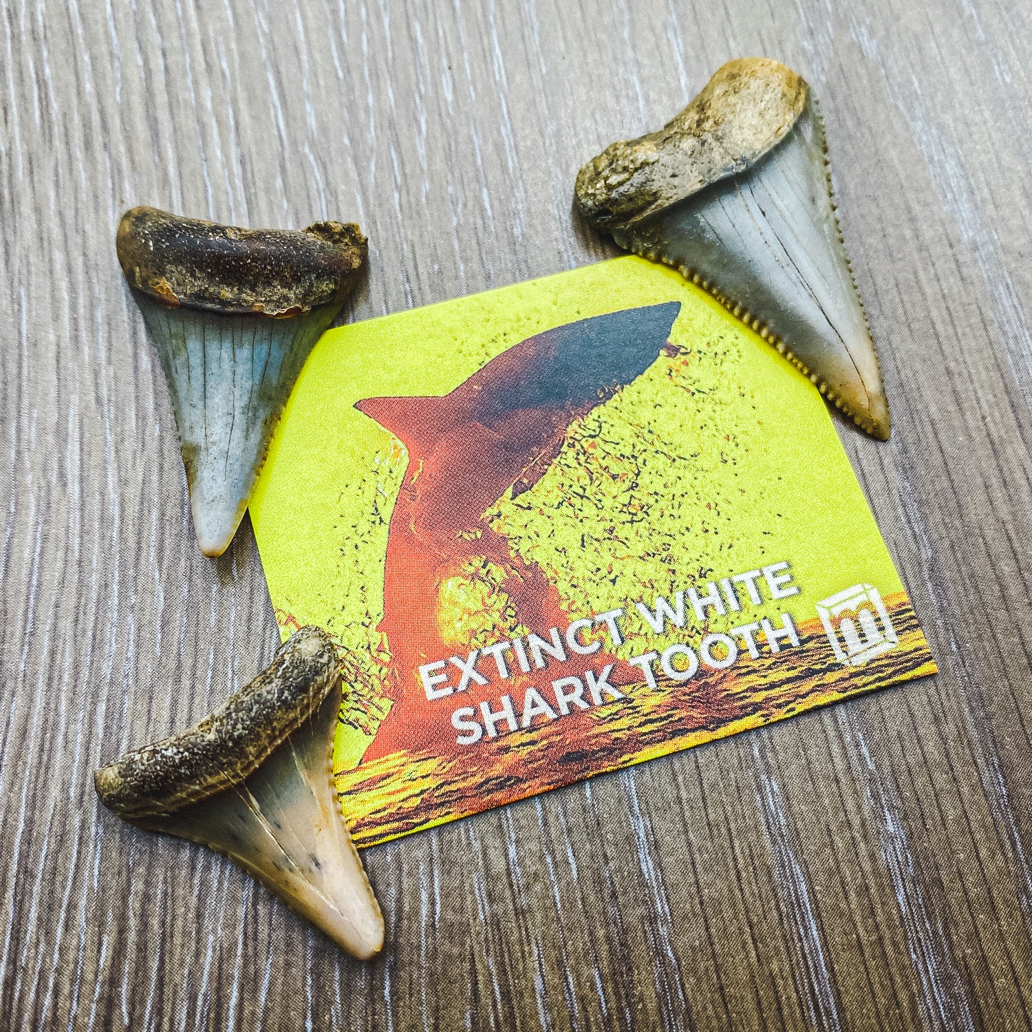 Product image 21